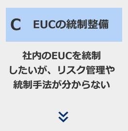 ”C：EUCの統制整備