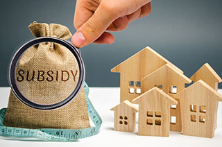 SUBSIDY